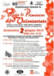 Festa del volontariato Castelmaggiore - Locandina